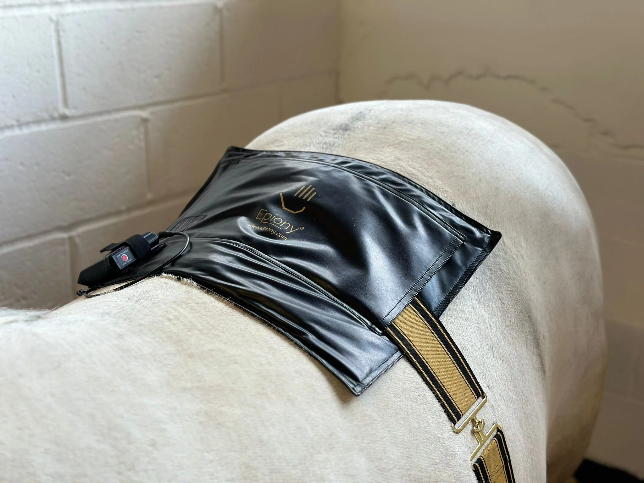 Photo of a horse receiving heat therapy on its back using the Epiony heat pad.